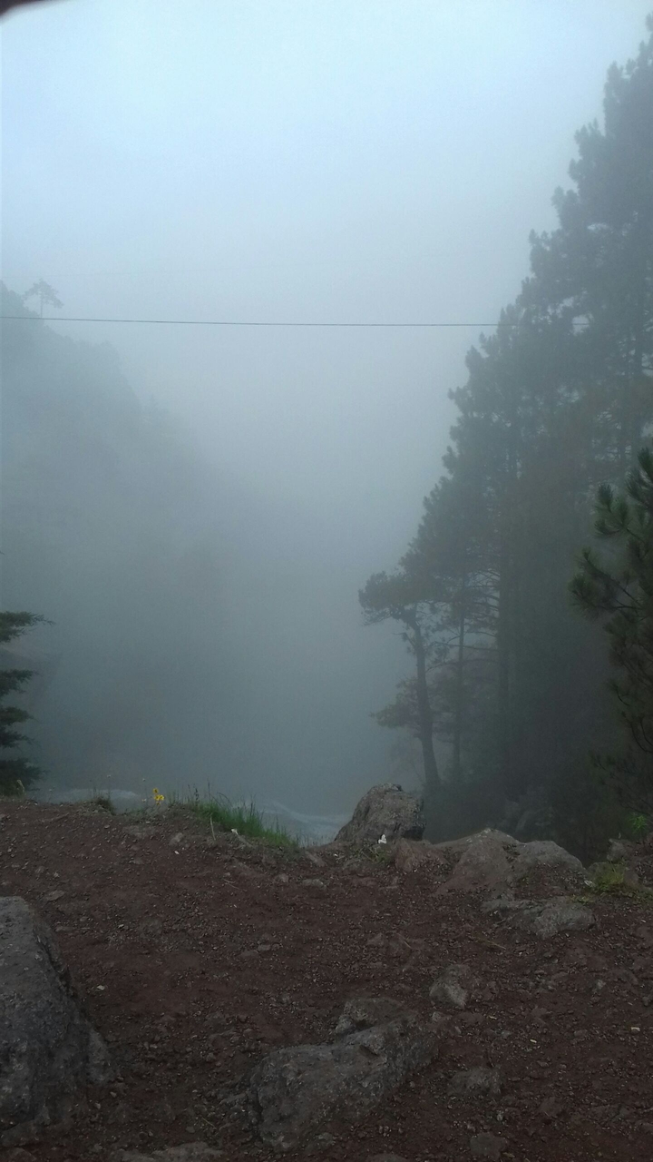 Niebla