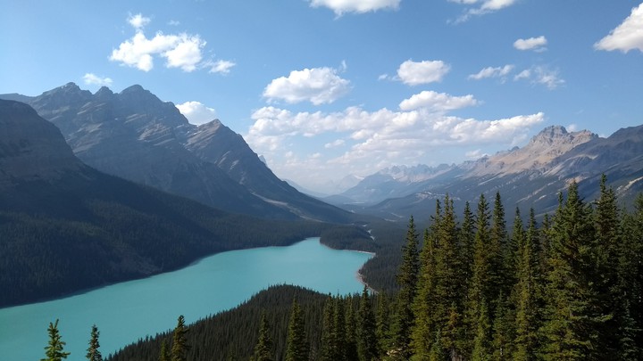 Peyto Lake