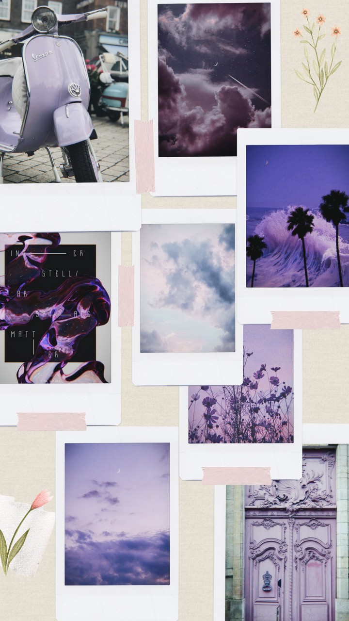 mor & purple