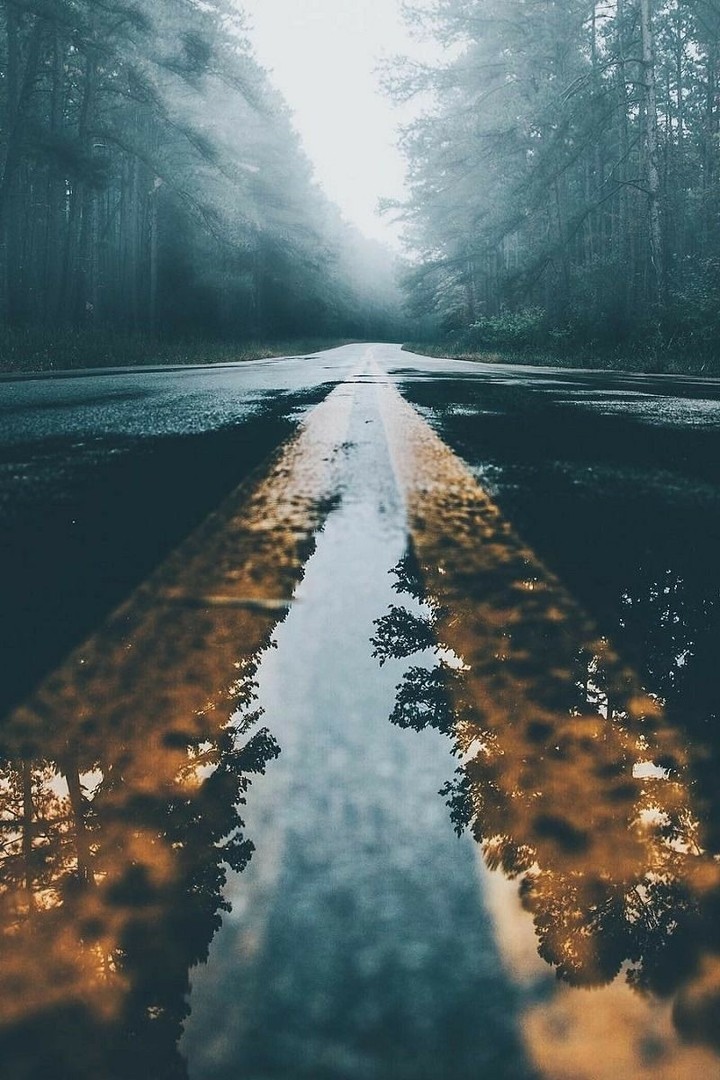 Rain