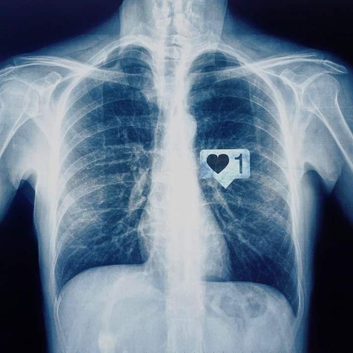 heart