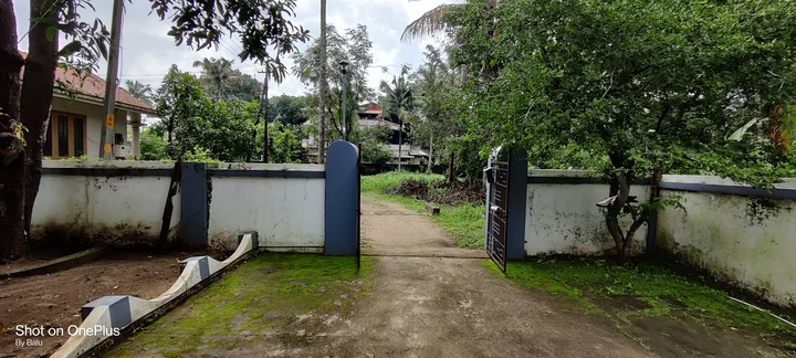 outside view