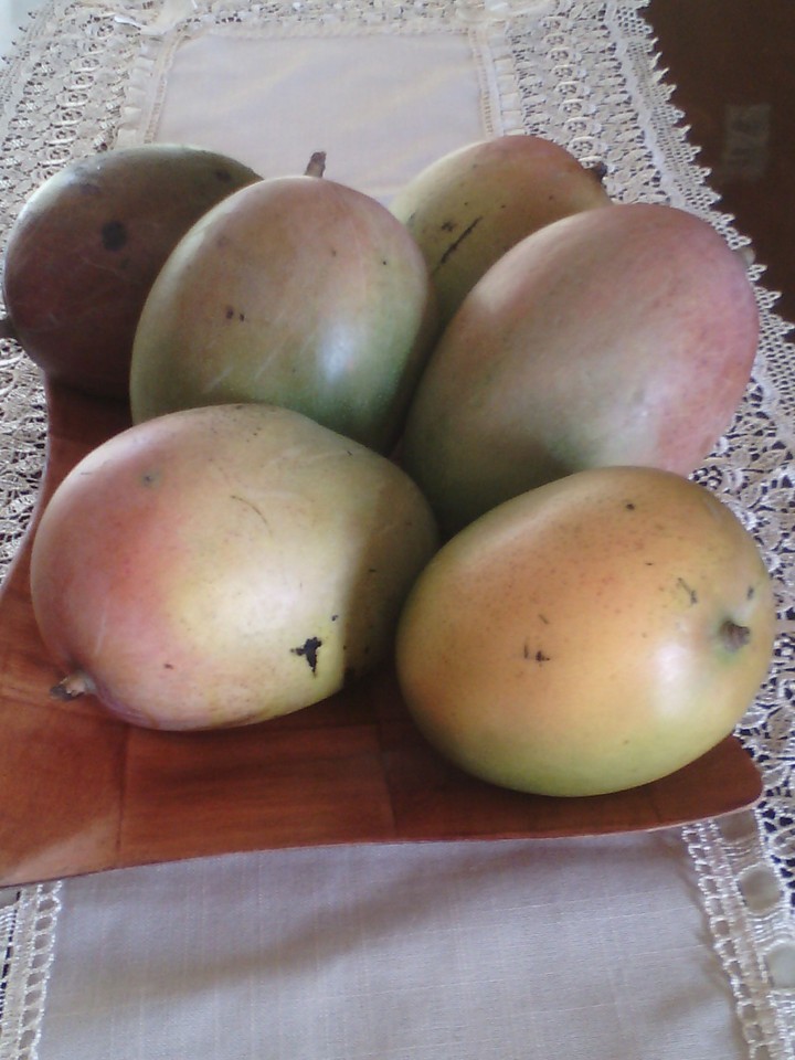 frutero