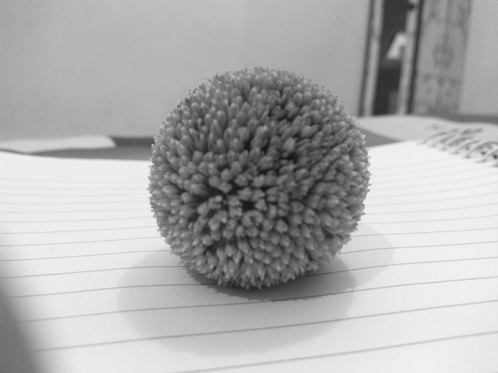 Flower you ever seen