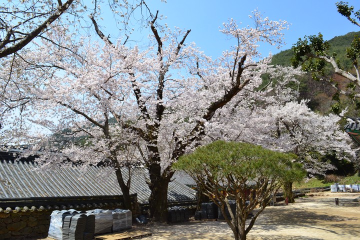 지리산이미지