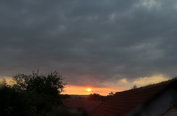 Morning
