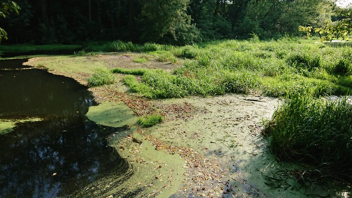 Wild River