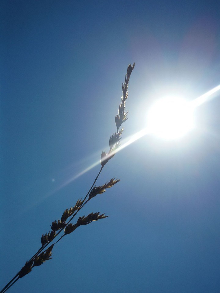 sun in your mind