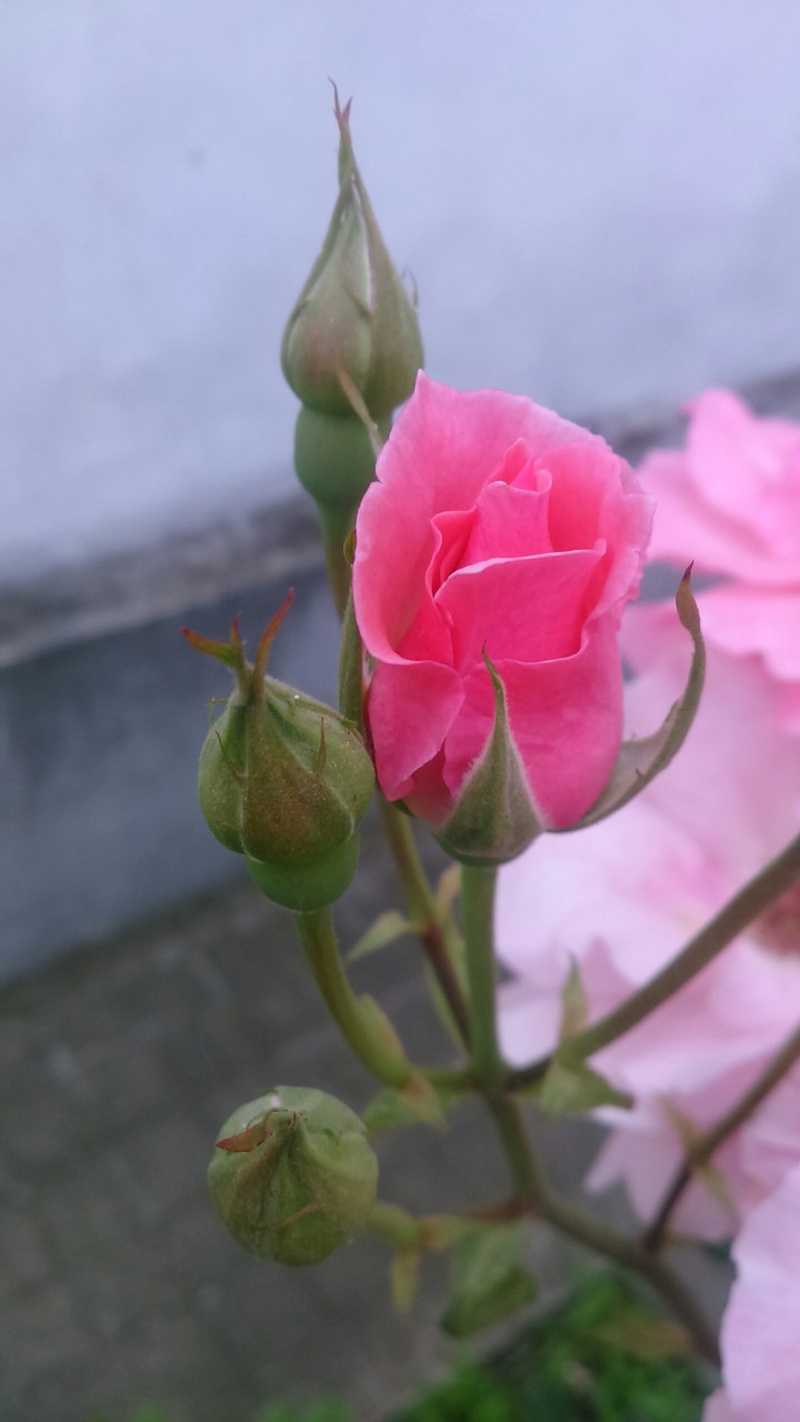 :) :)