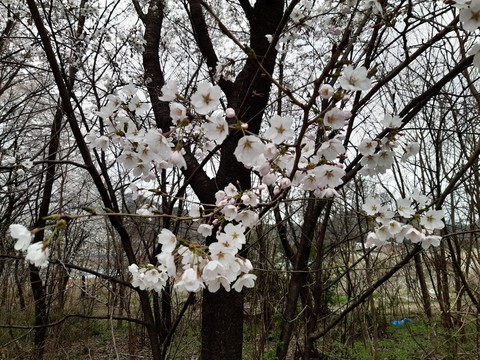 함께해요