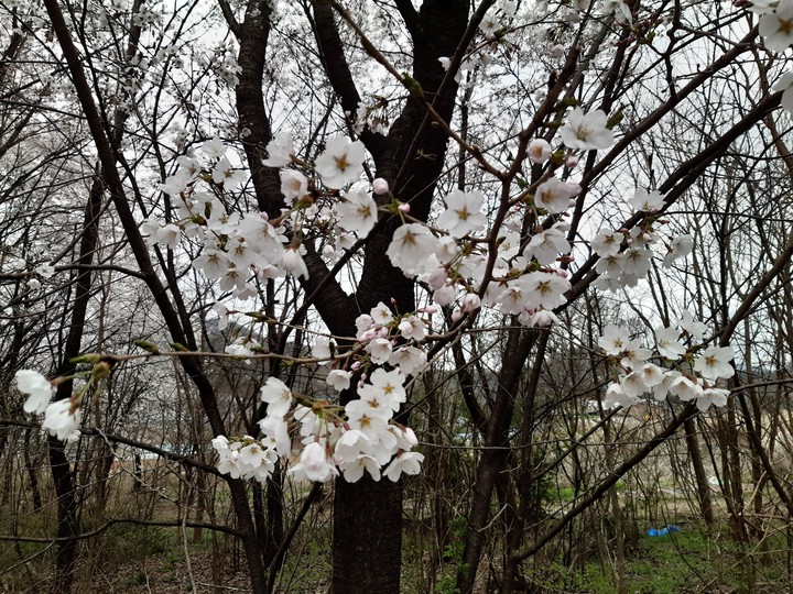 함께해요