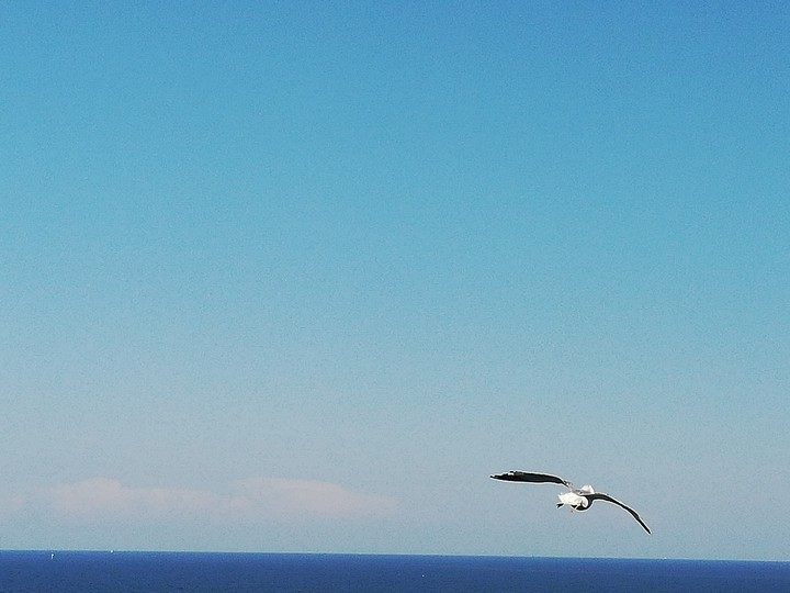 sky