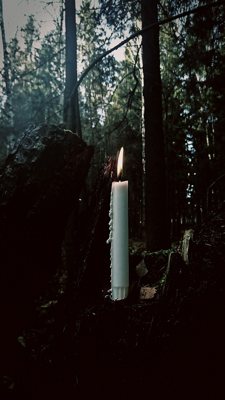 Candle