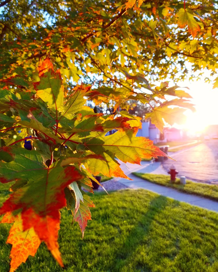 Sunset in Autumn