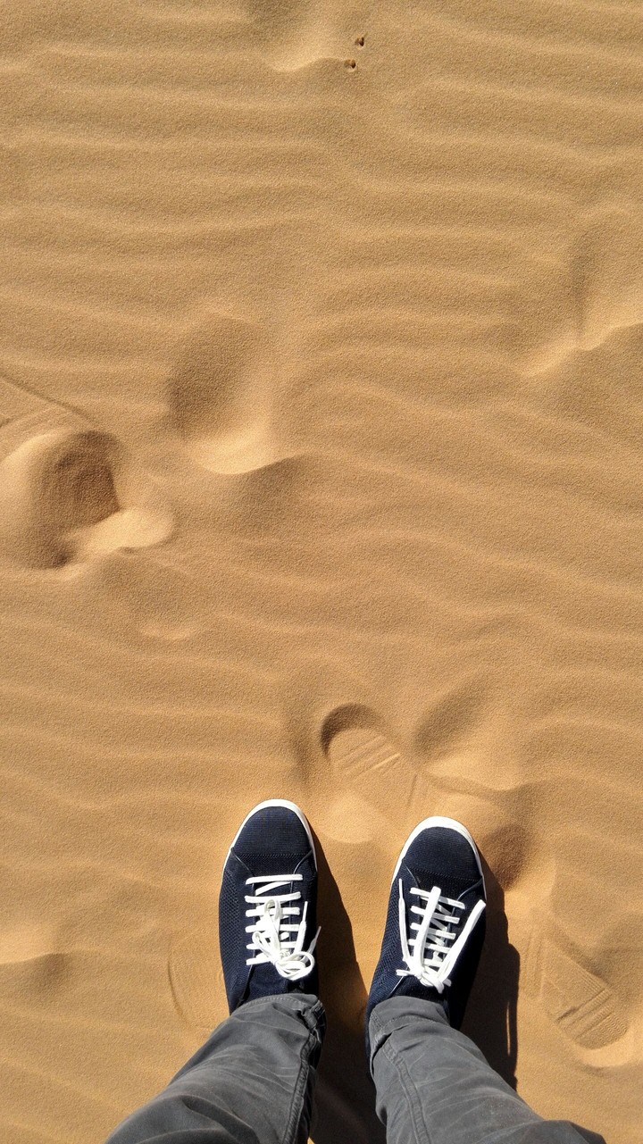 Navy Sneakers