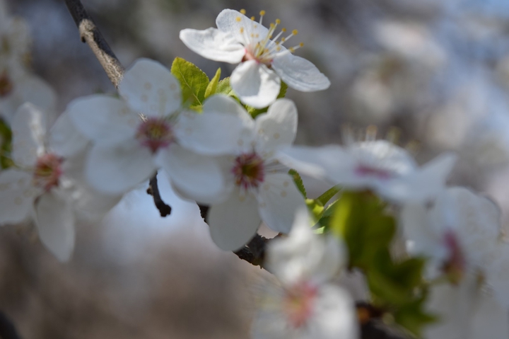 spring is in the air