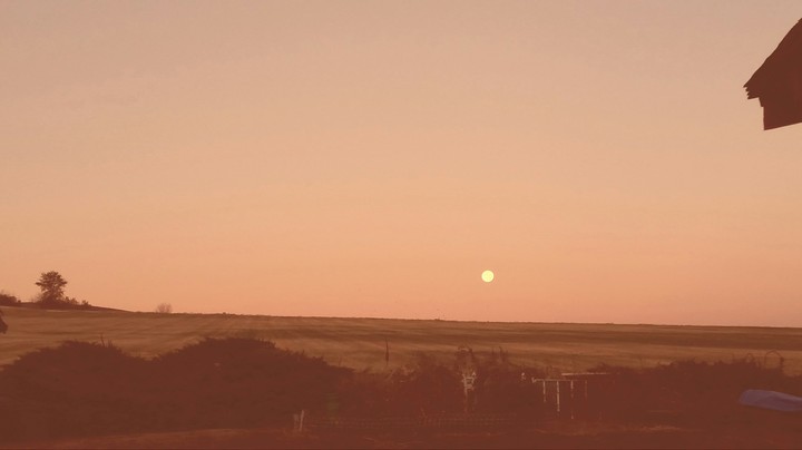 Orange Sunset