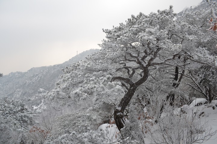 관악산의겨울이미지