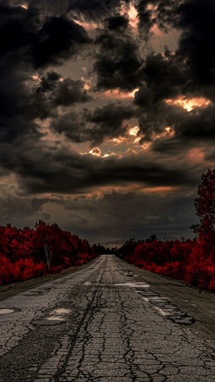 nature