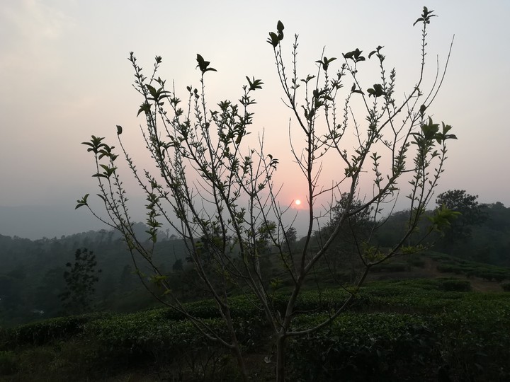 sunset in kerela