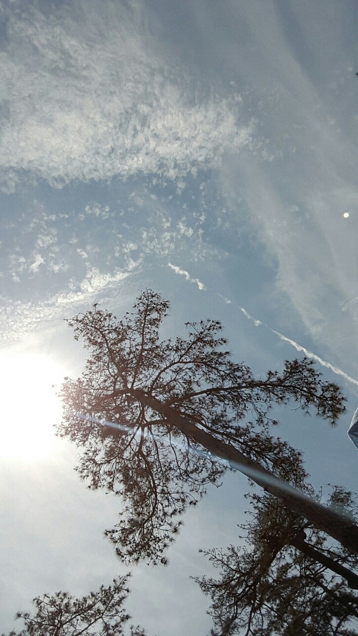 sky