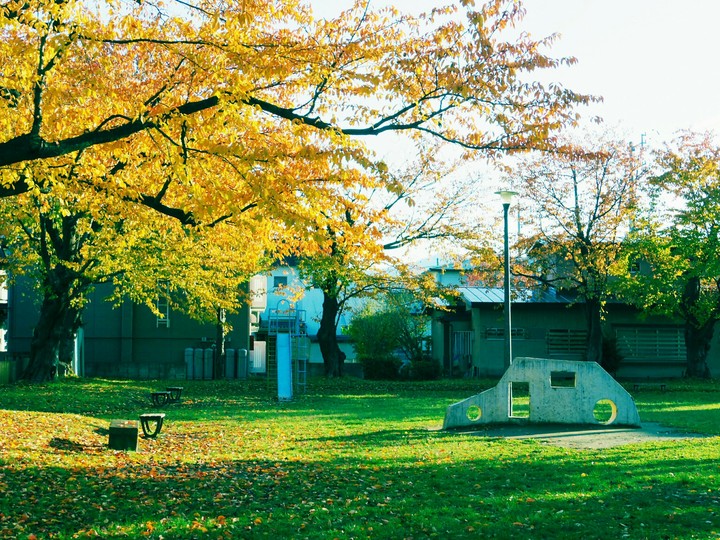 公園