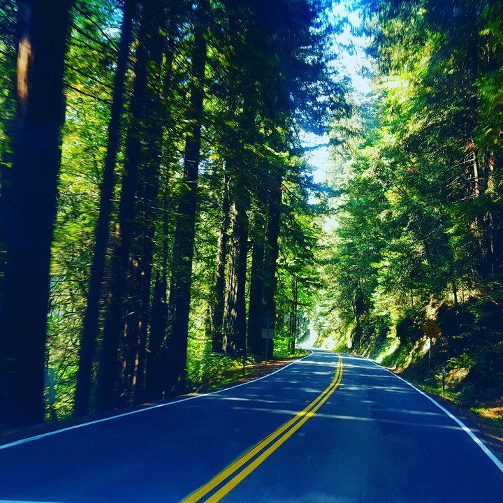 Empty Road