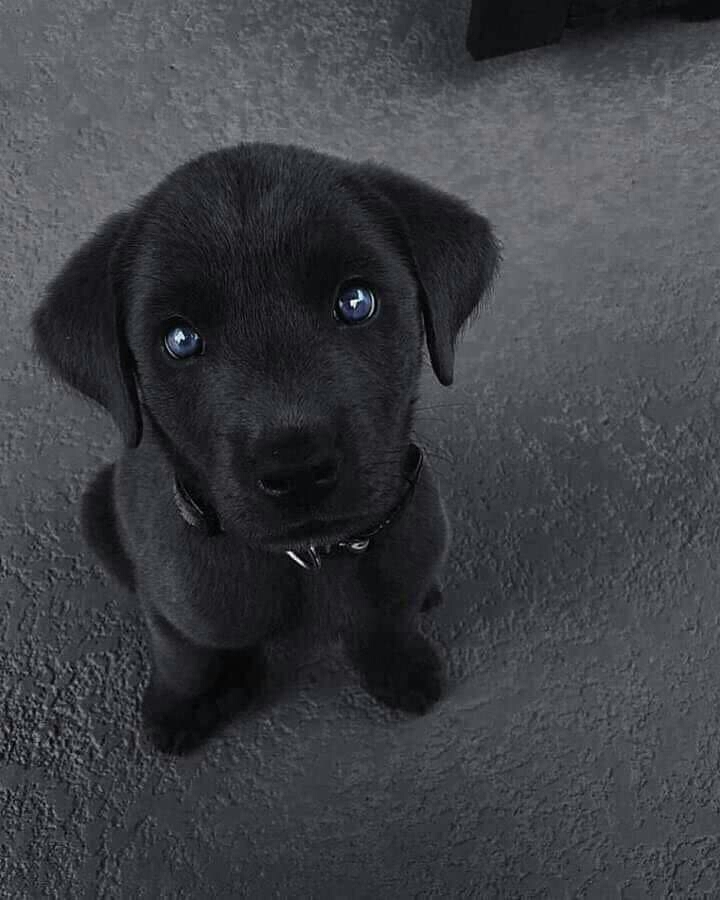 ?