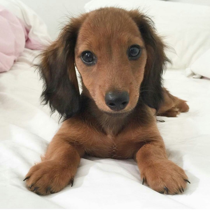 ❤