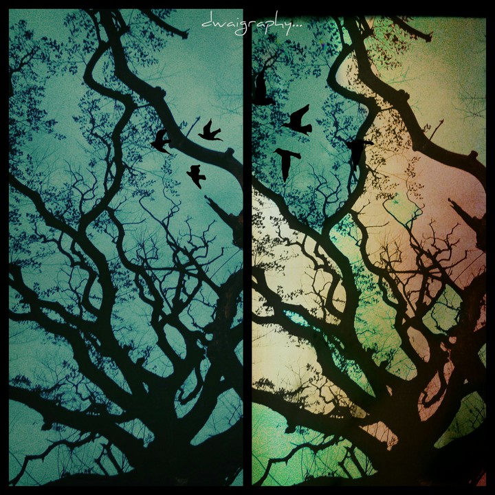 Abstracts