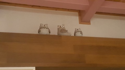 부엉이