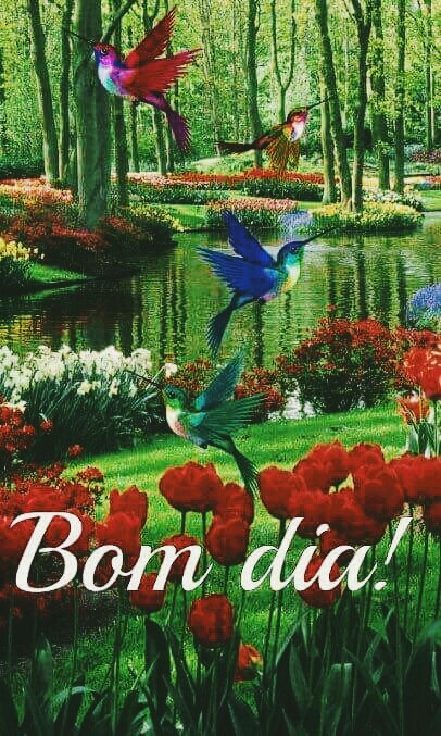 bom dia