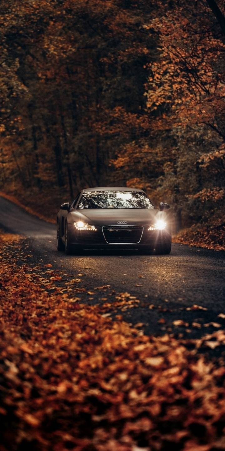 Wallpaper