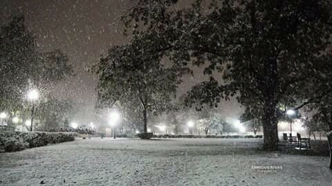 mi plaza
