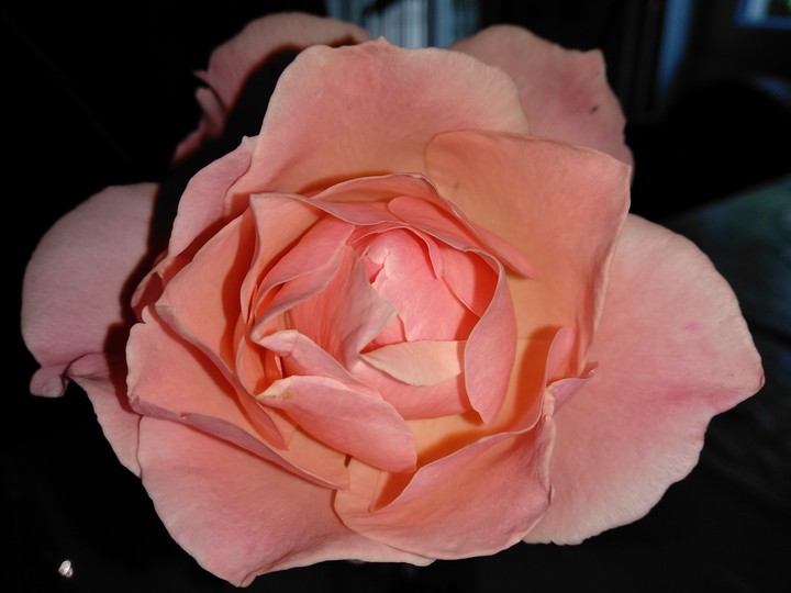 Romantico, natura