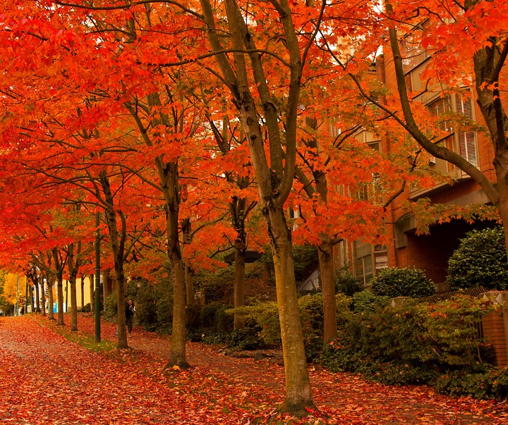 Autumn