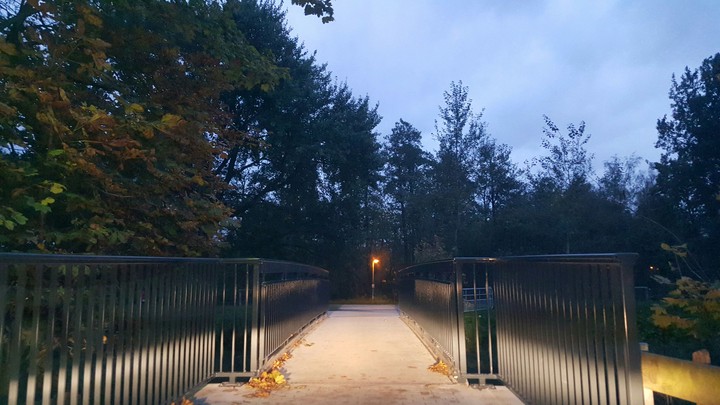 bridge