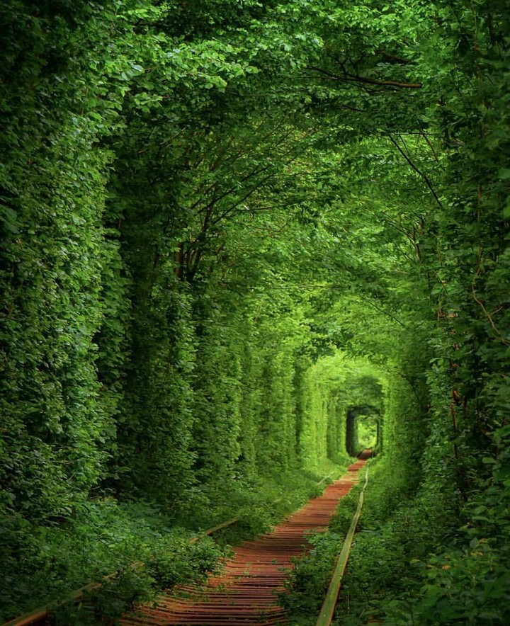 Greeny green