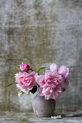 flower pot