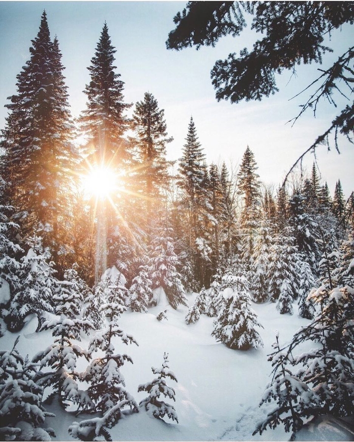 Sun in the snow