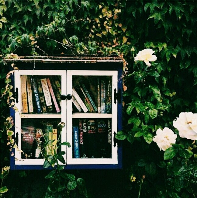 When you love a book you will love the entire forest