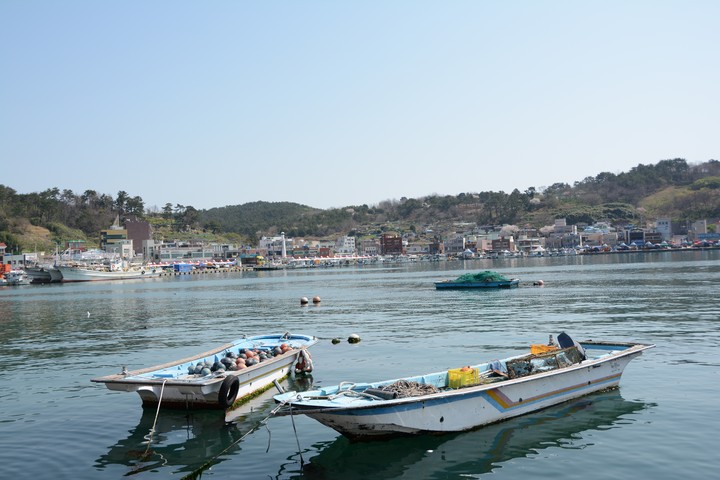 기장이미지