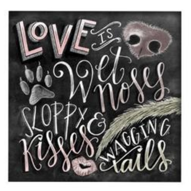 Dogs ❤