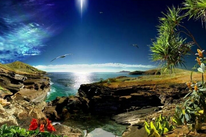 The wonder of nature