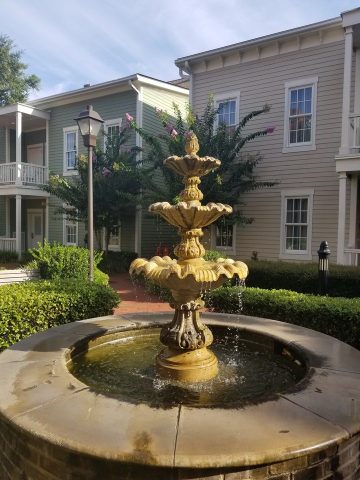 Water Feature in Savannah