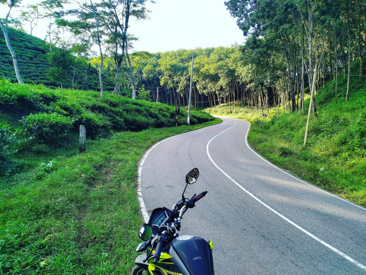 Bike Tour