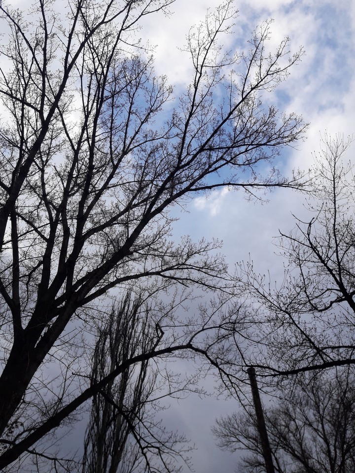 sky