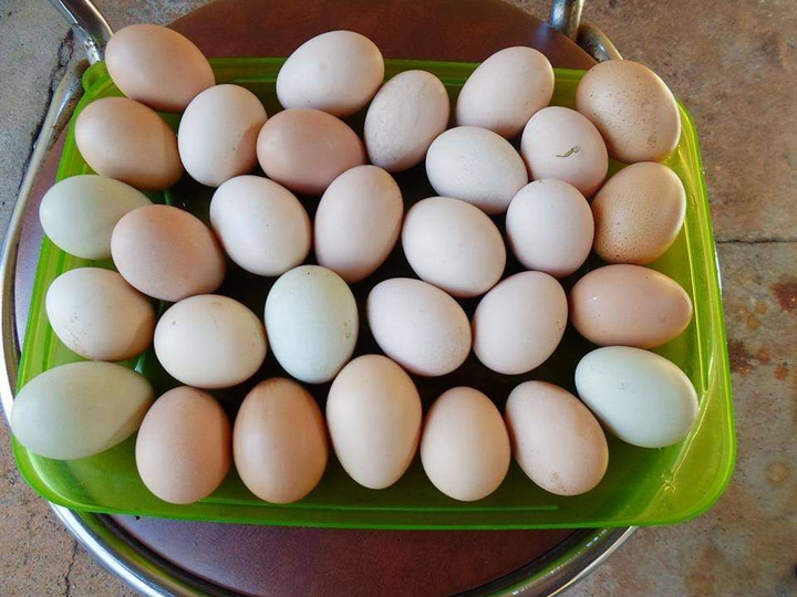 Aos amigos do coração bjs