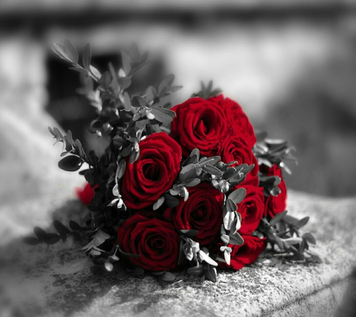 love and roses