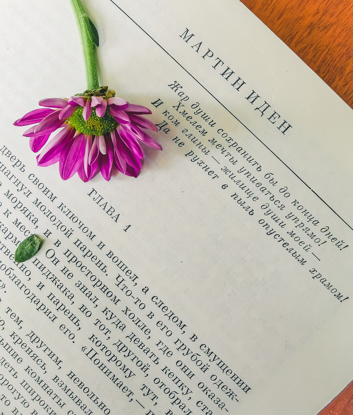 Book quote